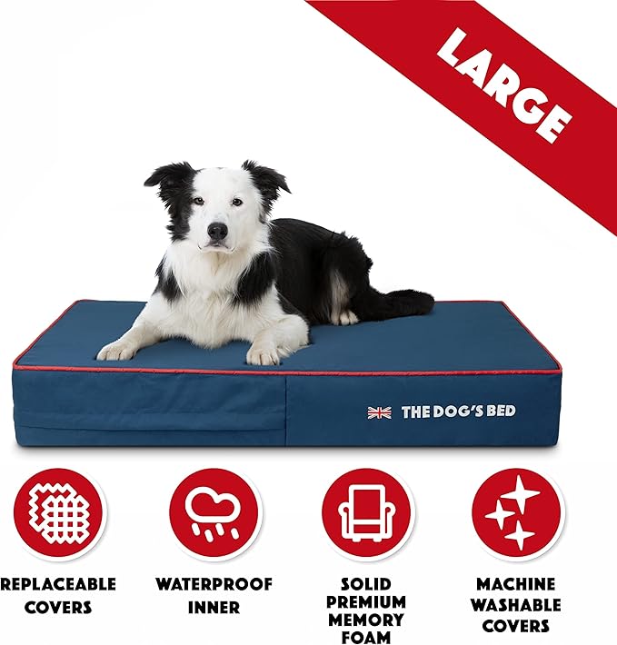 The Dog’s Bed Orthopedic Memory Foam Dog Bed 40x25, Pain