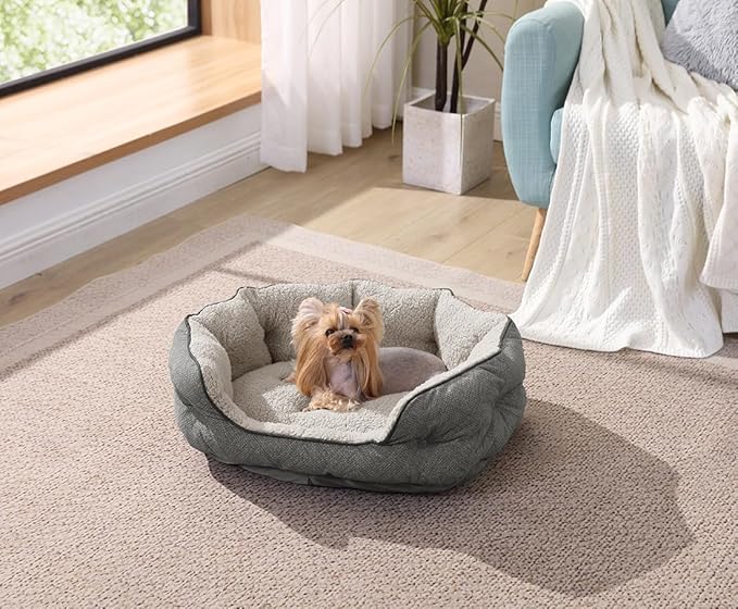 Canine Creations Cozy Pet Bed by Arlee Home & Pet Orthopedic Eco-Friendly Oval Durable Chew Resistant Washable Pet Bed for Medium and Large Large Dogs