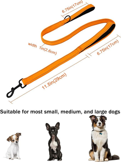 Solmoony 4FT Orange Strong Dog Leash with 2 Padded Handles 4FT)