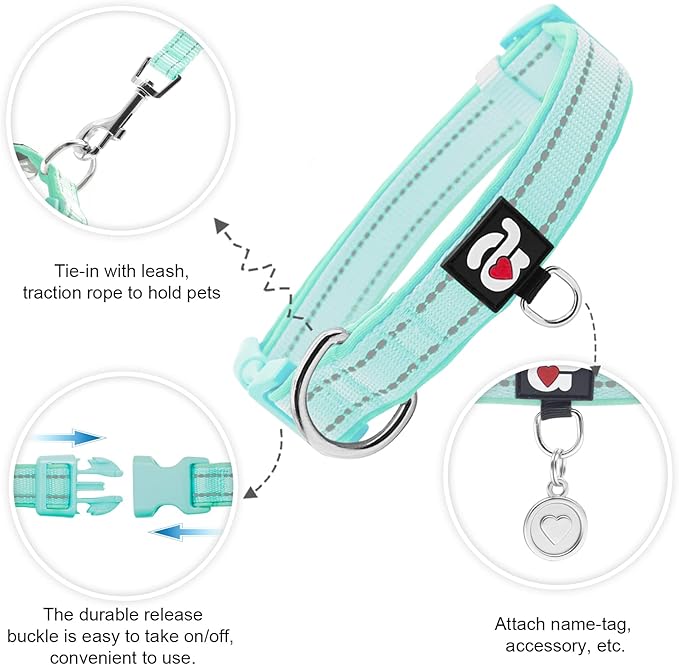 azuza Reflective Dog Collar