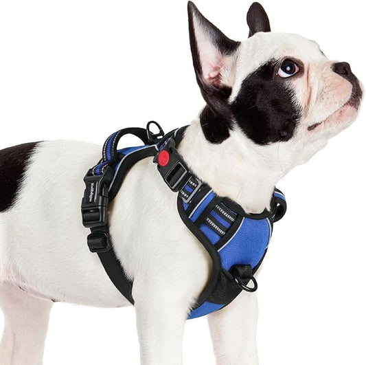 rabbitgoo Dog Harness Small Sized, No Pull Pet Harness with 3 Buckles, Adjustable Soft Padded Dog Vest with Instant Control Handle, Easy Walking Reflective Pet Vest for Small Dogs, Blue, S