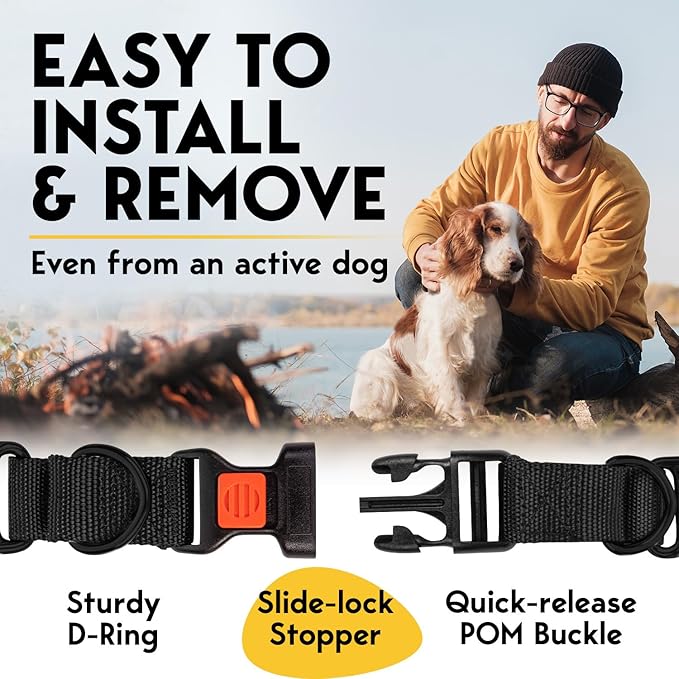 Prong Collar for Dogs Training Collar