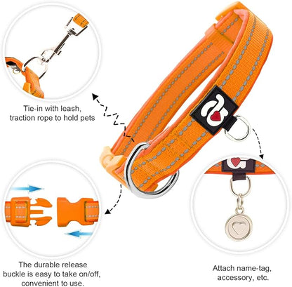 azuza Reflective Dog Collar