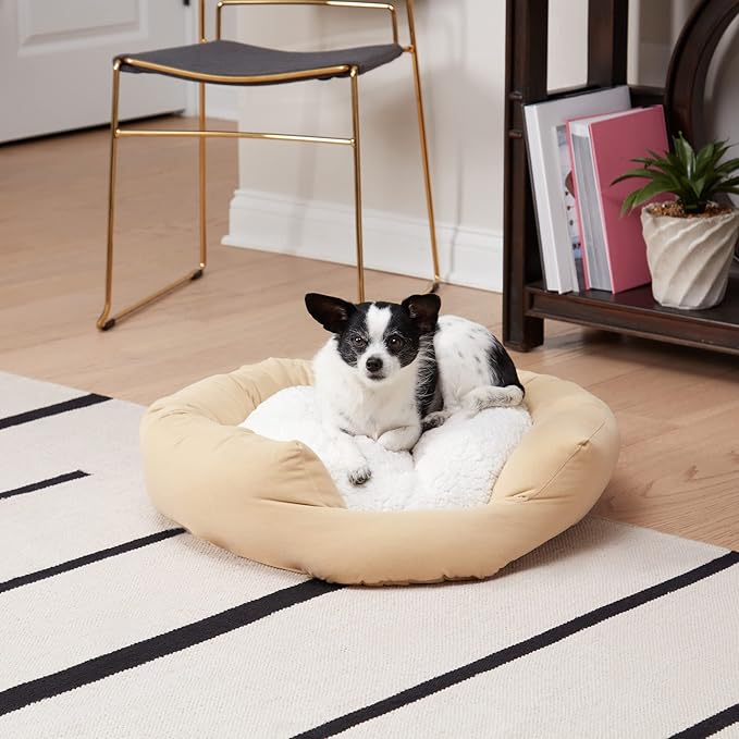 Maddie Donut Dog Bed with Removable Center Pillow (24" x 24")