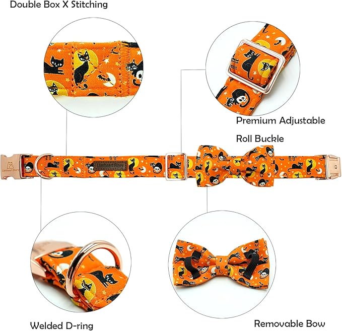 Lionheart glory Fall Dog Collar with Bowtie Halloween