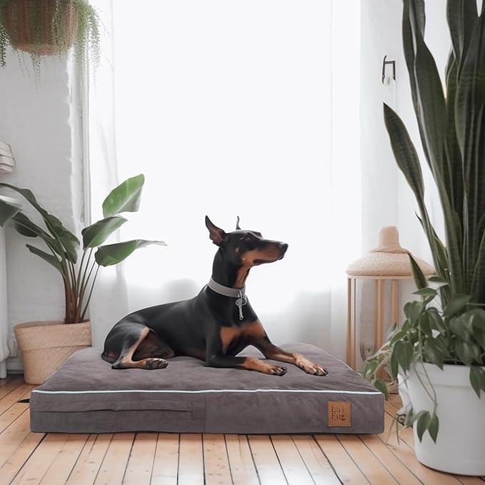 Laifug Orthopedic Memory Foam Pet(40"x 25"x 4"