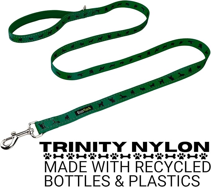 EcoBark Dog Leash - 4 FT / 5 FT / 6 FT Reflective Dog Leash- Eco-Bright Dog Leashes with Padded Handle - Strong Heavy Duty Dog Leash - Nylon Dog Leash for Small & Medium Dogs (Forest Green Dog Leash)