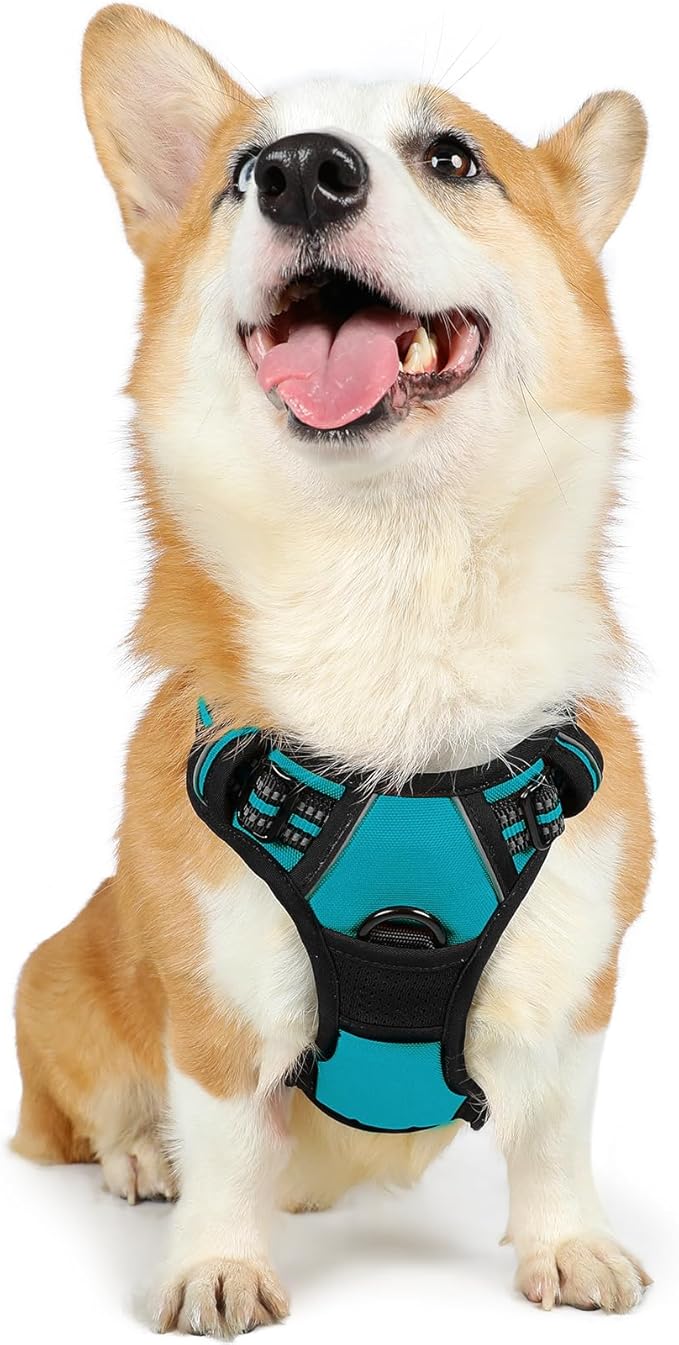 rabbitgoo Dog Harness, No-Pull Pet Harness with 2 Leash Clips, Adjustable Soft Padded Dog Vest, Reflective No-Choke Pet Oxford Vest with Easy Control Handle for Large Dogs, Teal, M