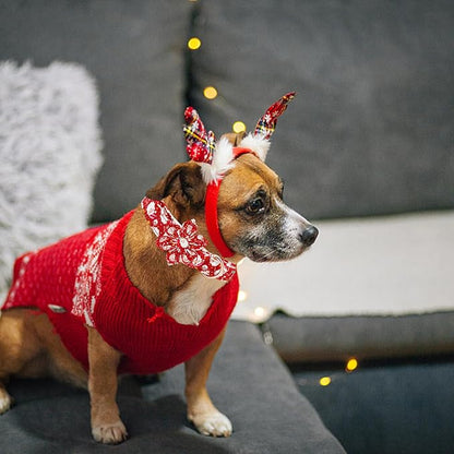 Elegant little tail Dog Collar with Flower