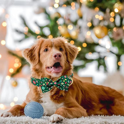 Christmas Day Dog Collar with Bow Red Green