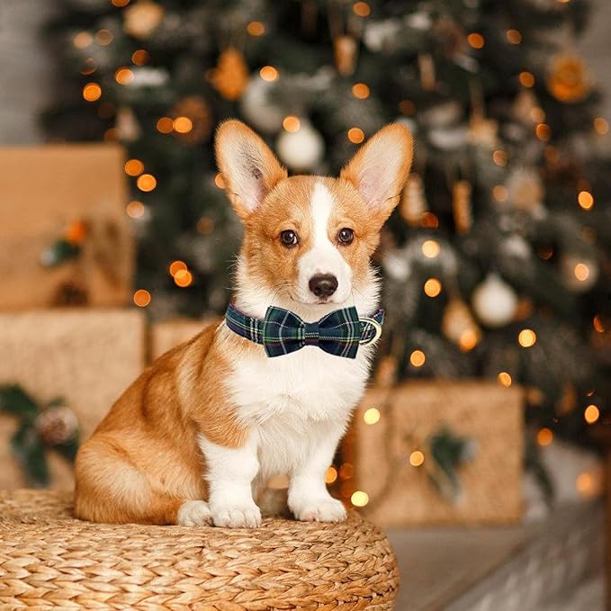 Christmas Day Dog Collar with Bow Red Green