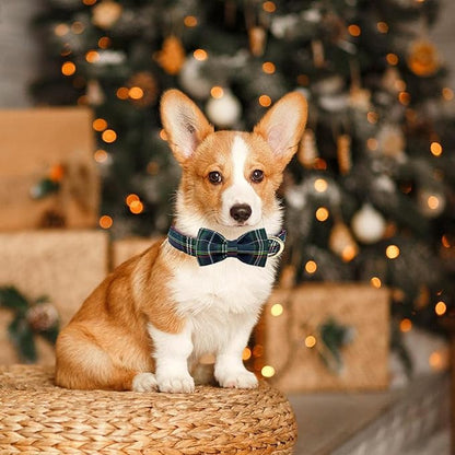 Christmas Day Dog Collar with Bow Red Green