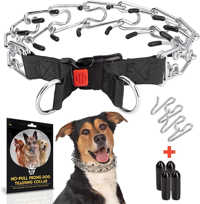 Prong Collar for Dogs