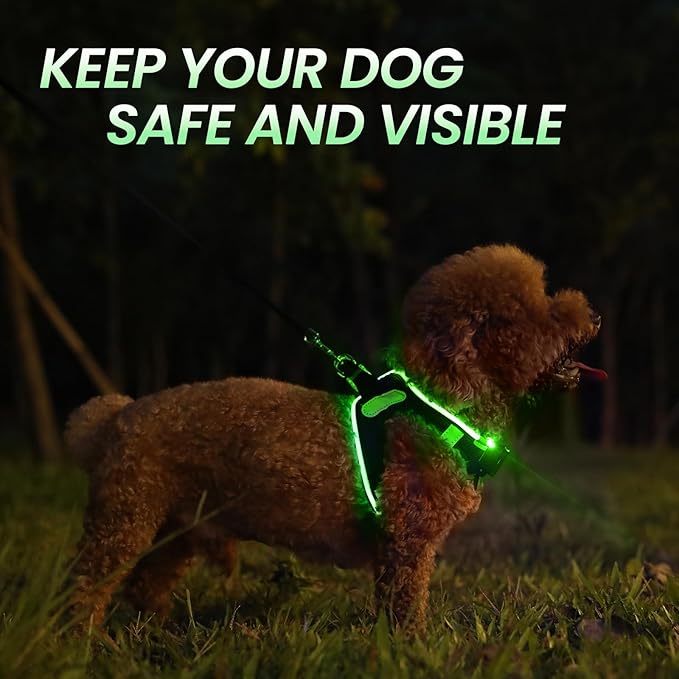 PcEoTllar Light Up Dog Harness, LED Dog Harness for Puppy Small Medium Dogs, Rechargeable No Pull Reflective Dog Harness, Flashing Lighted Dog Harness for Night Walking (Green,m)