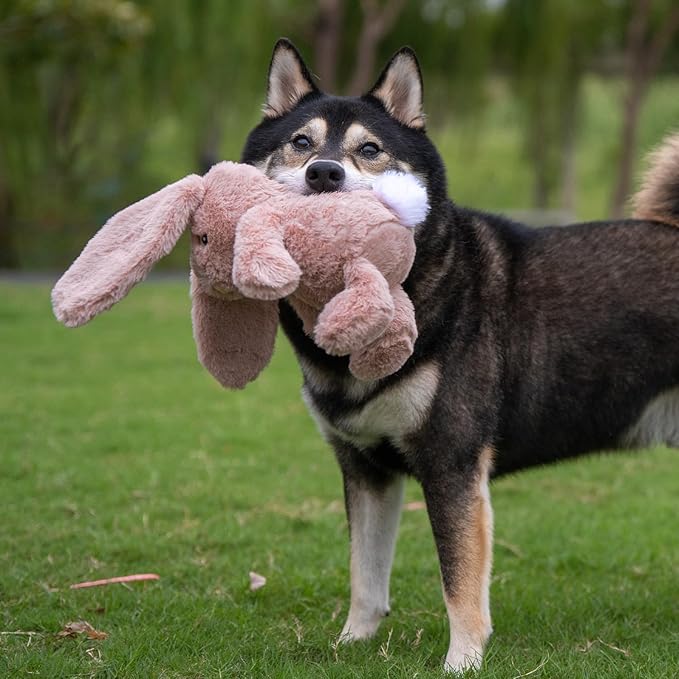 Best Pet Supplies Interactive Bunny Buddy Dog Toy with Crinkle and Squeaky Enrichment for Small and Medium Breed Puppies or Dogs, Cute and Plush - Bunny (Mauve), Small