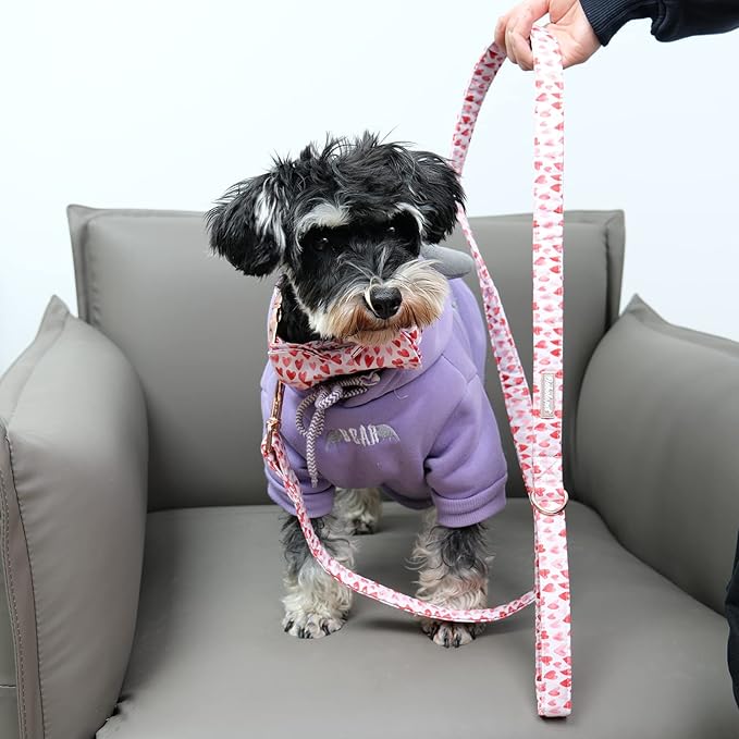 Valentine's Day Dog Leash Durable Handmade Dog Leashes 120cm