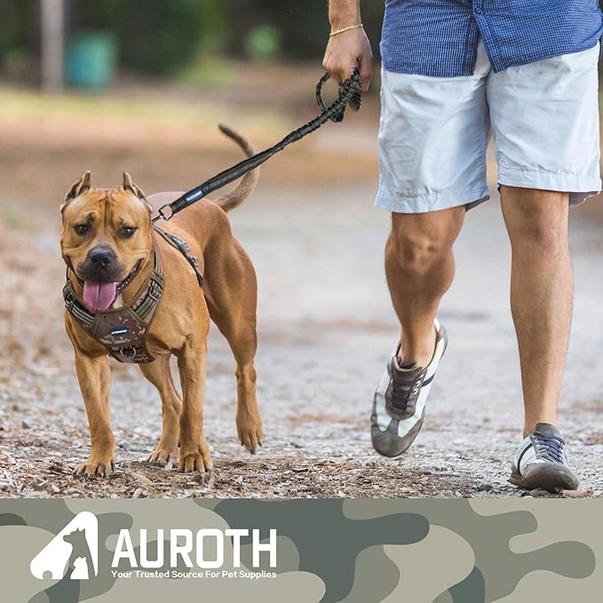 AUROTH Dog Leash 6FT, 2