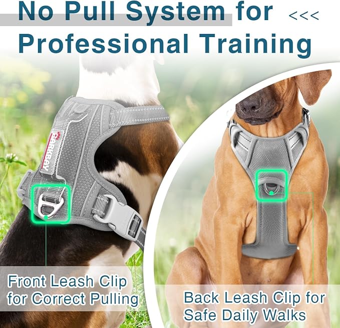 BARKBAY Dog Harness No Pull with ID Tag Pocket - Heavy Duty, Reflective, Easy Control for Large Dogs (Grey,M)