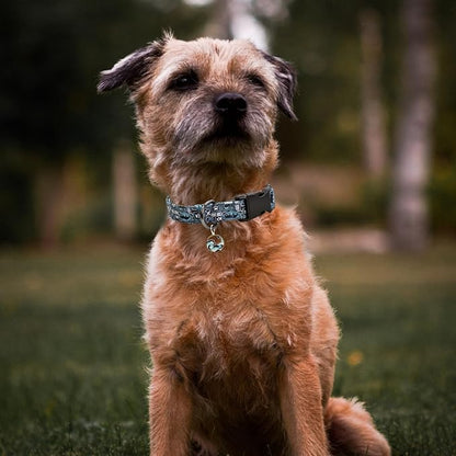 Leopard Patterns Dog Collar with Pendant
