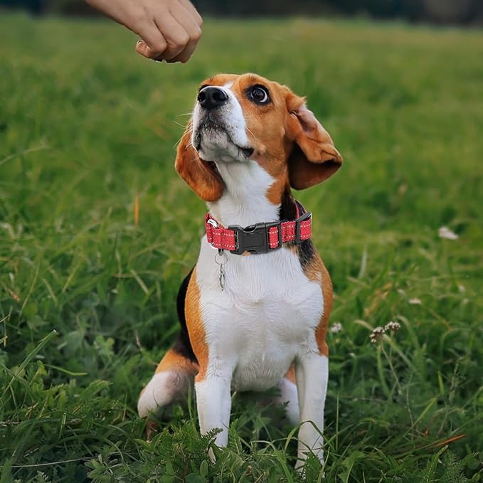 Reflective Martingale Dog Collars. Dog Collar with Quick