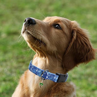 Flower Patterns Dog Collar with Accessories