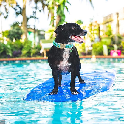 Lionheart glory Dog Collar Blue Sea Turtles Dogs