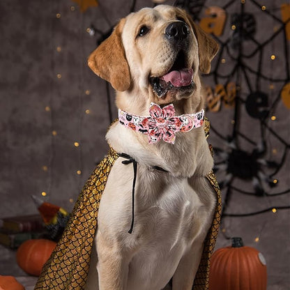 Elegant little tail Dog Collar with Flower