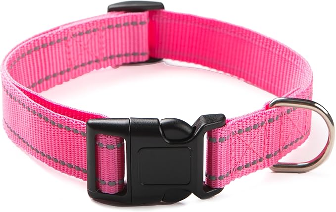 Reflective Dog Collar for Small