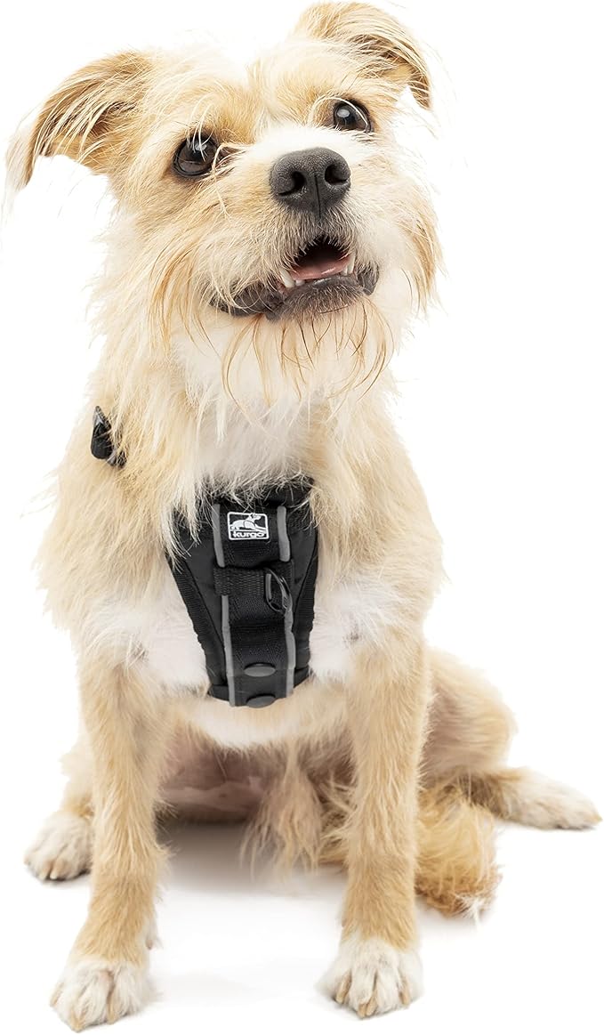 Kurgo Dog Harness | Pet Walking Harness | Small | Black | No Pull Harness Front Clip Feature for Training Included | Car Seat Belt | Tru-Fit Quick Release Style