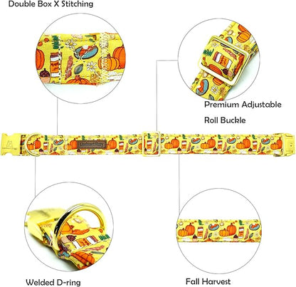 Lionheart glory Premium Fall Dog Collars Thanksgiving Holiday