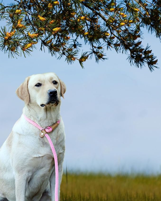 lynxking Dog Leash Slip Lead Snap Hook Rope