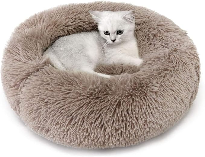Small Cat Beds for Indoor Cats 16 inches,Extra 5lbs)