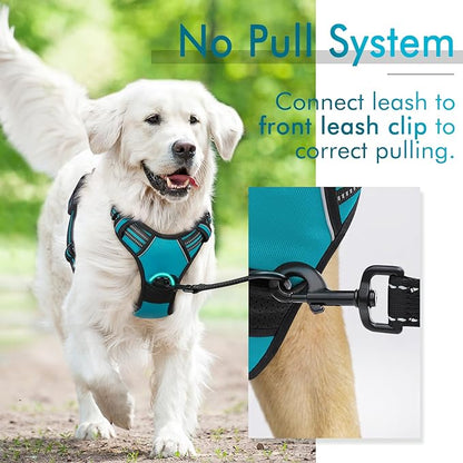 rabbitgoo Dog Harness, No-Pull Pet Harness with 2 Leash Clips, Adjustable Soft Padded Dog Vest, Reflective No-Choke Pet Oxford Vest with Easy Control Handle for Large Dogs, Teal, S