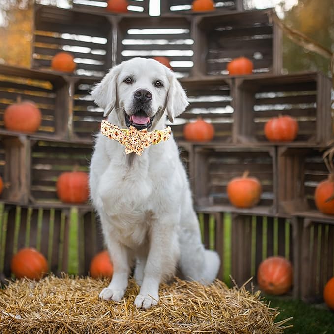 Elegant little tail Dog Collar with Flower