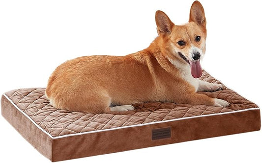 SunStyle Home Orthopedic Dog Beds for Medium Dogs