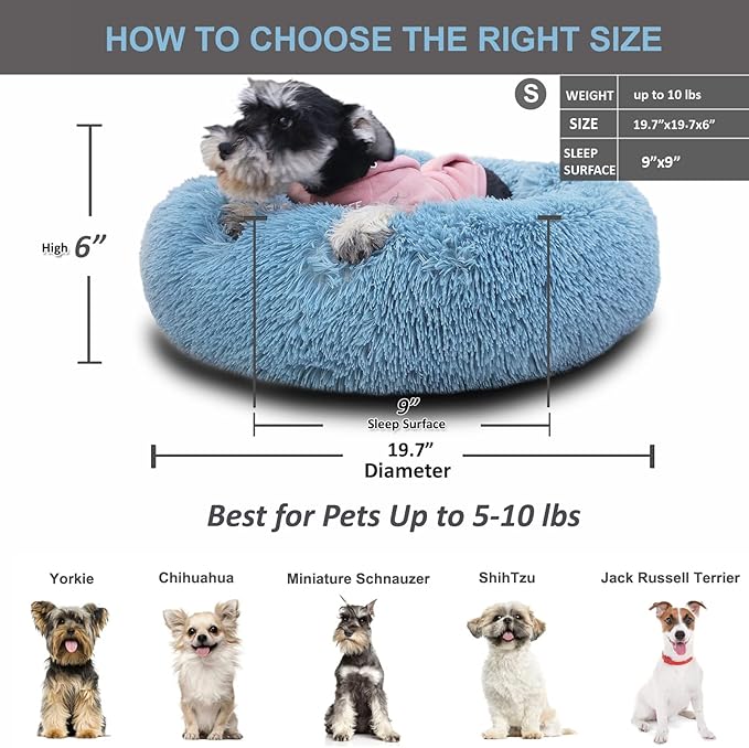 Puppy Beds for Small Dogs Washble 19 Inches