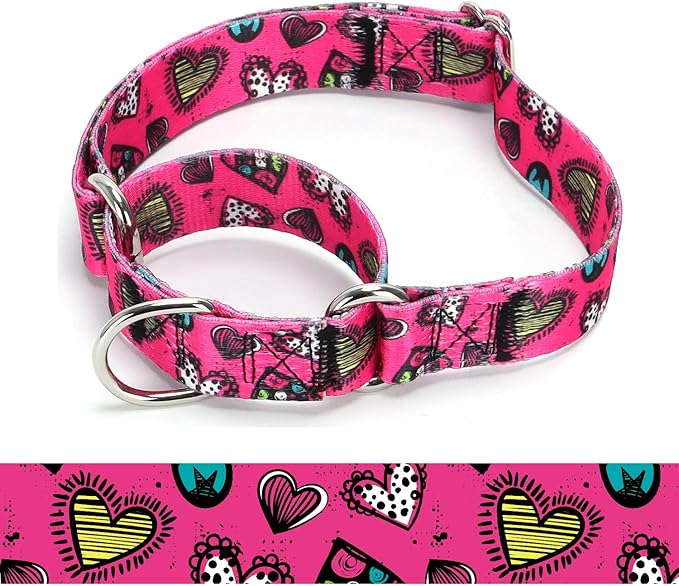 Martingale Dog Collars (5, M)