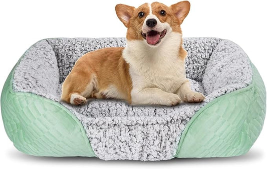 Dog Beds for Small Dogs