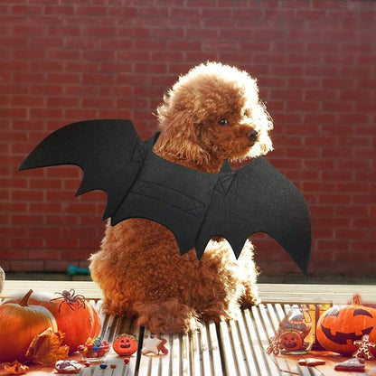 Rypet Cat Bat Costume - Halloween Pet Costume Bat Wings Cosplay Dog Costume Cat Costume for Party XS