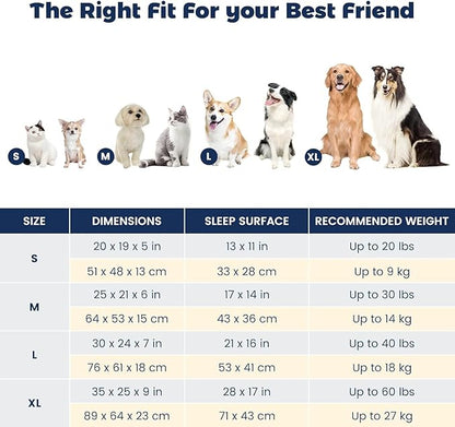 Miguel Dog Bed with Removable Cushion/Pillow for Medium Small Dogs 25 Inch