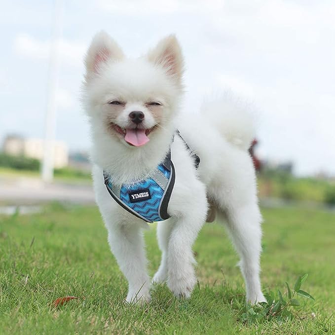 YIMEIS Dog Harness and Leash Set, No Pull Soft Mesh Pet Harness, Reflective Adjustable Puppy Vest for Small Medium Large Dogs, Cats (Blue-Update, X-Small (Pack of 1))