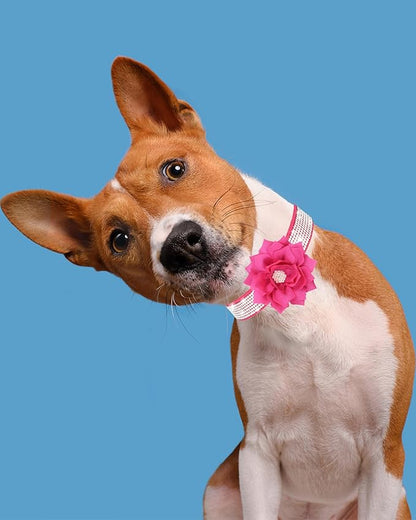 Rhinestone Dog Collar for Small Medium Dogs Red XS Dog Collar for Girl Female Dogs Flower Puppy Collar for Summer Spring Wedding Puppy Necklace Girl Dog Collar (Rose Red