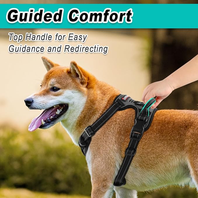 BARKBAY Dog Harness No Pull for Large Dogs - Adjustable, Reflective, Comfortable, No Choke, Heavy-Duty - Perfect for Outdoor Training, Walking, and Hiking - Strong & Durable - XL & Dark Grey