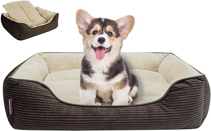 Miguel Dog Bed with Removable Cushion/Pillow for Small Dogs 20 Inch