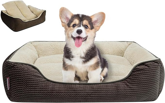 Miguel Dog Bed with Removable Cushion/Pillow for Small Dogs 20 Inch