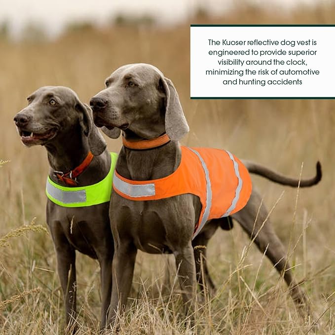 Kuoser Reflective Dog Vest, High Visibility Dog Safety Vest for Medium Large Dogs, Pet Reflective Jacket Orange Dog Vest to Keep Your Dog in Sight and Safe from Hunting, Training, Cars Accidents, M