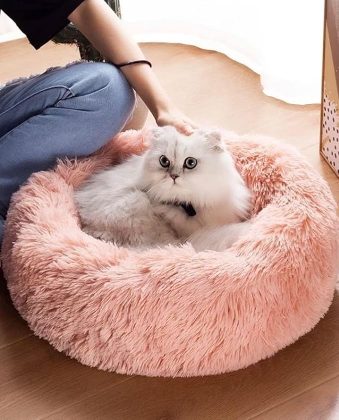 Cat Beds for Indoor Cats 20/24 inches,