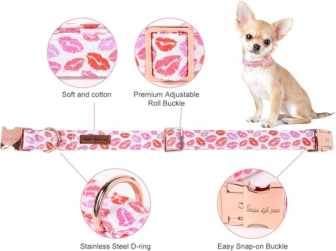 Unique Style Paws Valentine's Day Dog Collar Heart