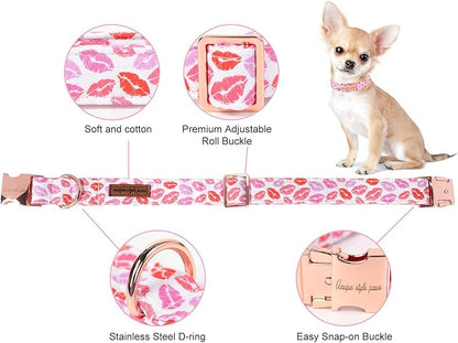 Unique Style Paws Valentine's Day Dog Collar Heart