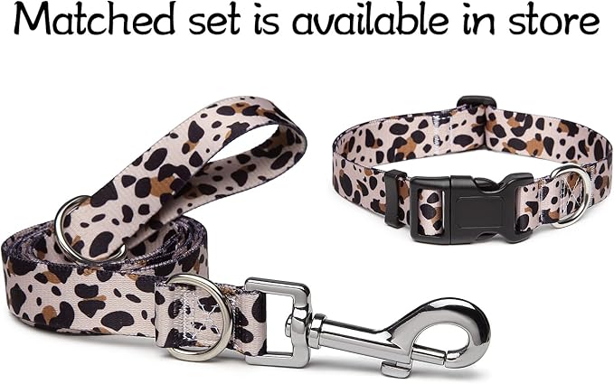 Adjustable Dog Collar with Patterns